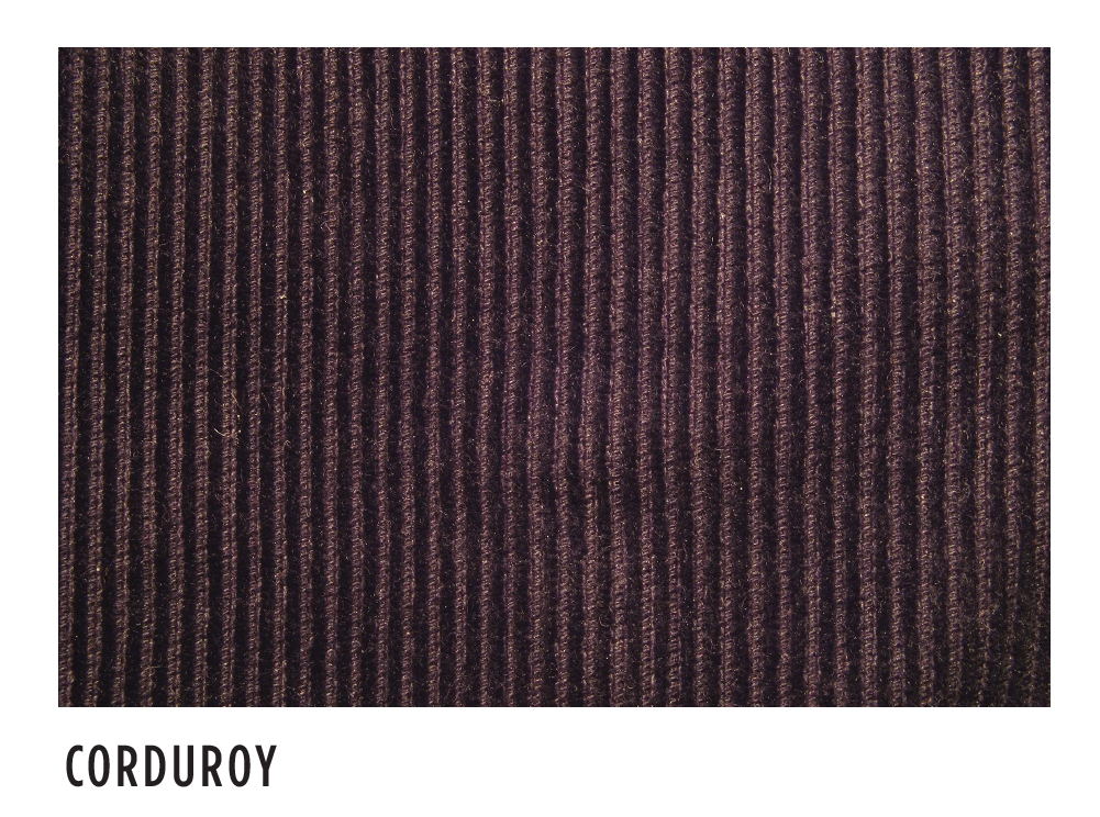 Corduroy